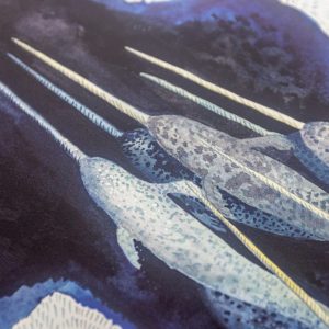 Detail from Narwhal